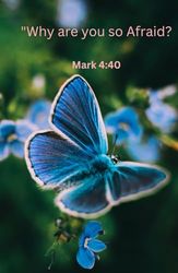 Why are you so Afraid?: Mark 4:40