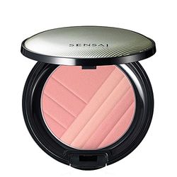 Kanebo Cheek Blush Ch02 4g