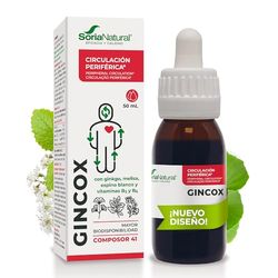 Soria Natural Composor 41 - Ginkgo Complex - Soporte de Memoria y Concentración, Activa la Circulación - Propiedades Antioxidantes - Ginkgo Biloba - Suplemento Cerebral Natural - Botella de 50ml