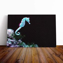 Big Box Art Canvas Print Wall Art Seahorse 2 | Mounted and Stretched Box Frame Picture | Home Decor for Kitchen, Living, Dining Room, Bedroom, Hallway, Multi-Colour, 30x20 Inch