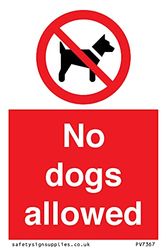 No dogs allowed