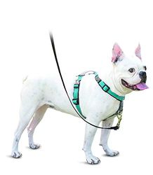 PetSafe 3-in-1 harnas en autobeperking, klein, groenblauw, zonder trek, verstelbaar, training voor kleine, middelgrote en grote honden