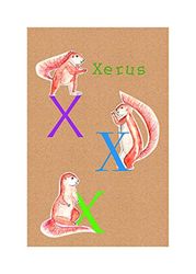 Komar Cuadro de Pared ABC Animal X Póster de Letras para habitación Infantil Sala de Estar Dormitorio Decoración Arte Impresión sin Marco P036X-50x70 Tamaño 50 x 70 cm (Ancho x Alto)