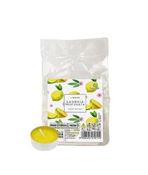 6 velas perfumadas Pocket Season - Primavera/Verano - Limón - Cereria Di Giorgio