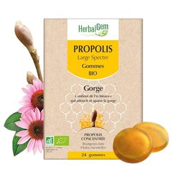HerbalGem Propolis Large Spectre Gommes Bio 24 Gommes