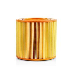 Nedis Filtre à Cartouche pour aspirateur série Allaway A/C