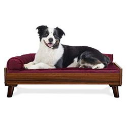 Furhaven Verhoogd hondenbedframe voor 91 x 69 cm grote hondenbedden, eenvoudig te monteren, mid-century modern bedframe in walnoot, Large