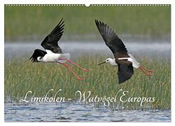 Limikolen - Watvögel Europas (Wandkalender 2026 DIN A2 quer), CALVENDO Monatskalender: Schnepfen und Regenpfeifer gehören zu den Limikolen ... und Herbst in ihre Überwinterungsgebiete.
