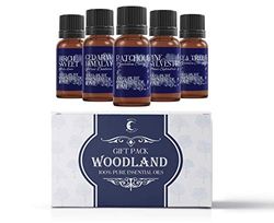 Mystic Moments | Woodland Essential Oil Gift Starter Pack 5x10ml | Birch Sweet, Cedarwood Himalayan, Patchouli, Pine Sylvestris, Tea Tree | Perfect as a Gift