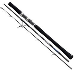 Rod 20Game Typ Jigging Spin