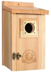 SISTERBIRD Maisons à Oiseaux pour l'extérieur avec Protection en cuivre, nichoir à Oiseaux en cèdre extérieur, Hirondelle Bleue, mésange, Assemblage requis