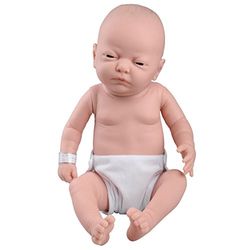 3B Scientific W17001 Model voor babyverzorging, vrouwelijk, blank