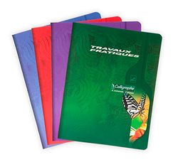 Calligraphe 2592C – een praktisch knutselschrift (serie 7000 van Clairefontaine), 96 pagina's, 17 x 22 cm, grote ruiten, 70 g en eenkleurige pagina's, 90 g, omslag offsetkaart, kleur willekeurig
