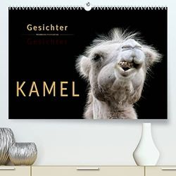 Kamel Gesichter (hochwertiger Premium Wandkalender 2024 DIN A2 quer), Kunstdruck in Hochglanz: Eindrucksvolle Bilder der Überlebenskünstler.