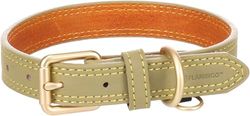 Flamingo Collare Virginia Verde S/M 31-39CM 20MM