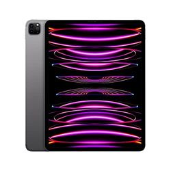 Apple 2022 12,9‑inch iPad Pro (Wi-Fi + Cellular, 256 GB) - spacegrijs (6e generatie)