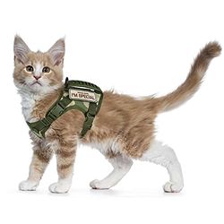 Harnais Tactique Anti-Fugue en Maille Souple réglable pour la Promenade de Grands Chats et Petits Chiens (L, A-Vert)