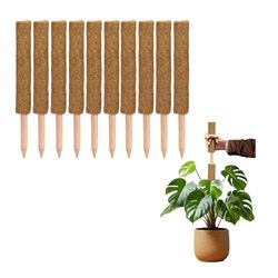 La Cordeline Set van 10 klimstokken voor klimplanten, 60 cm, natuurlijke kokoshouder, verlenging voor Monstera, tuin, huisplant