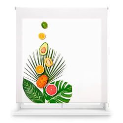 Blindecor Store Enrouleur translucide avec Impression numérique de Cuisine TropicalFruit Store Enrouleur 150 x 180 cm (l x h) Dimensions du Tissu 147 x 175 cm Store imprimé numérique