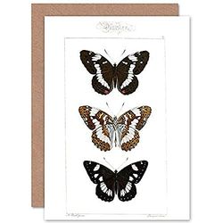 Fine Art Prints Butterflies Black and Brown Greeting Card With Envelope Inside Premium Quality