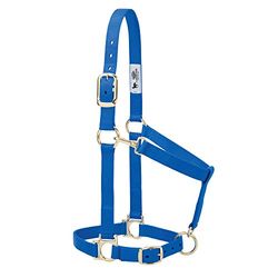 Weaver Leather Licol Basique Ajustable en Nylon, 2,5 cm de Largeur, pour Grand Cheval, Bleu