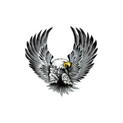 Avisa Sticker set Eagles - 2x 15x14,5cm