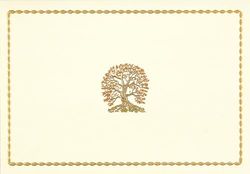 Tree Of Life Note Cards (Boxed Cards, Stationery) (Note Card Series)