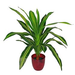 Leaf Plantes artificielles Tropicales Design