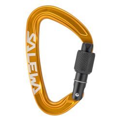 Salewa Ortles Schroef Karabijnhaak, Oranje, UNI