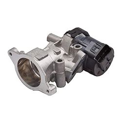 Delphi EG10419-12B1 Vanne EGR Valve, Varies