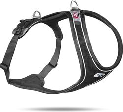 Curli Magnetic Belka Comfort Harness Black XL