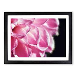 Petals Of A Pink Dhalia Modern Art Framed Wall Art Print, Ready to Hang Picture for Living Room Bedroom Home Office Décor, Black A4 (34 x 25 cm)