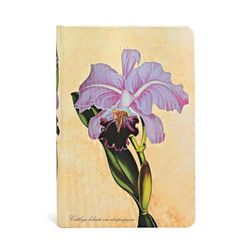 Paperblanks Diari a Copertina Rigida Orchidea Brasiliana | Righe | Mini (95 × 140 mm): Lined Mini