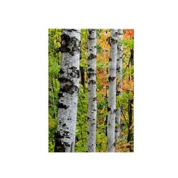 3dRose USA, Michigan/Birch Trunk and Maple Leaves Towel, White, 15 x 22-Inch
