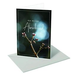 Rêve espoir/un choix de sens/des boutons de branche.