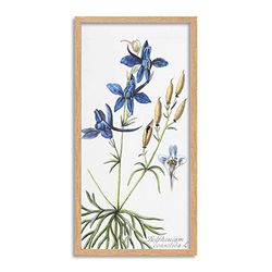 Biodiversity Flower Diagram Forking Larkspur Long Framed Art Print Wall Poster 25x12 inch