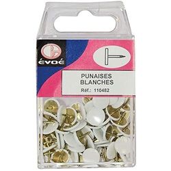 EVOE Punaises Blanches
