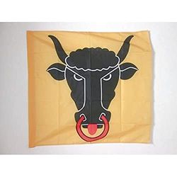 AZ FLAG Bandiera CANTONE di URI 90x90cm - Bandiera di URI - UR 90 x 90 cm Foro per Asta