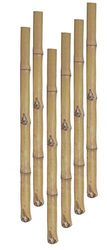 Namiba Terra 20350 2 x Set Tubo di bambù, Diametro 2 – 3 cm, Confezione da 3, in Bundle, 60 cm
