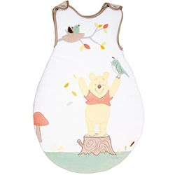 Babypalin – mysig födelse 65 cm – Disney 65 cm Winnie