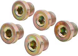 BGS 126-SM17 | Parafusos de drenagem de óleo, para BGS 126 | M17 x 1,5 mm, 5 peças