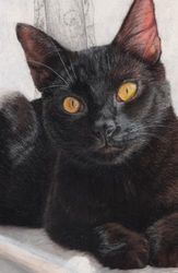 Black Cat Diary 2026, Approx A5 Week Per Page Hard Back with Artwork by Sally Sturgess.: With UK Holidays, Pagan Festivals and Moon Phases. Perfect cat lover gift. Supports a UK artist.