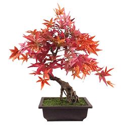 Leaf Arbre Artificiel Bonsaï érable Rouge 50 cm