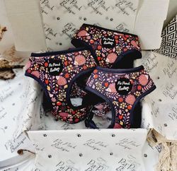 Woodland Hedgehog - Arnés para Perro, Talla XS