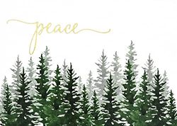Winter Evergreens Deluxe Boxed Holiday Cards (20 cards, 21 self-sealing envelopes)