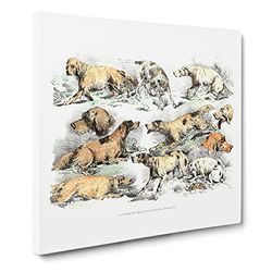 Illustration of Hounds by Henry Alken Vintage Canvas Wall Art Print Ready to Hang, Framed Picture for Living Room Bedroom Home Office Décor, 14x14 Inch (35x35 cm)