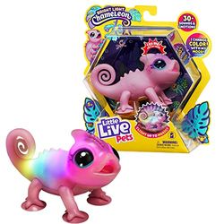 Little Live Pets - Calm A Chameloen - Nova (26365)