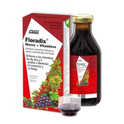 Salus - Floradix Suplemento de Hierro Líquido - 250 ml - Reduce el Cansancio y la Fatiga - Contiene Hierro Orgánico y Vitaminas B2, B6, B12 y C - Combate la Anemia - Suplementos Vitamínicos