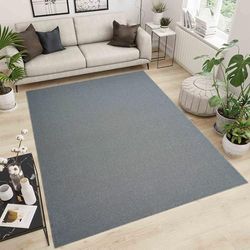 Simple Tapis à Poils Ras pour Salon - Moderne touffeté - avec Revers en Feutre - Argenté - 120 x 170 cm