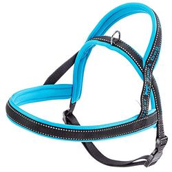 Ferplast Harnais Chien Sport Dog, Harnais pour Chien Taille Moyenne, Harnais Suédois, Rembourrage Doux, Coutures Réfléchissantes, Fermeture par Boutons-Pression, Bleu